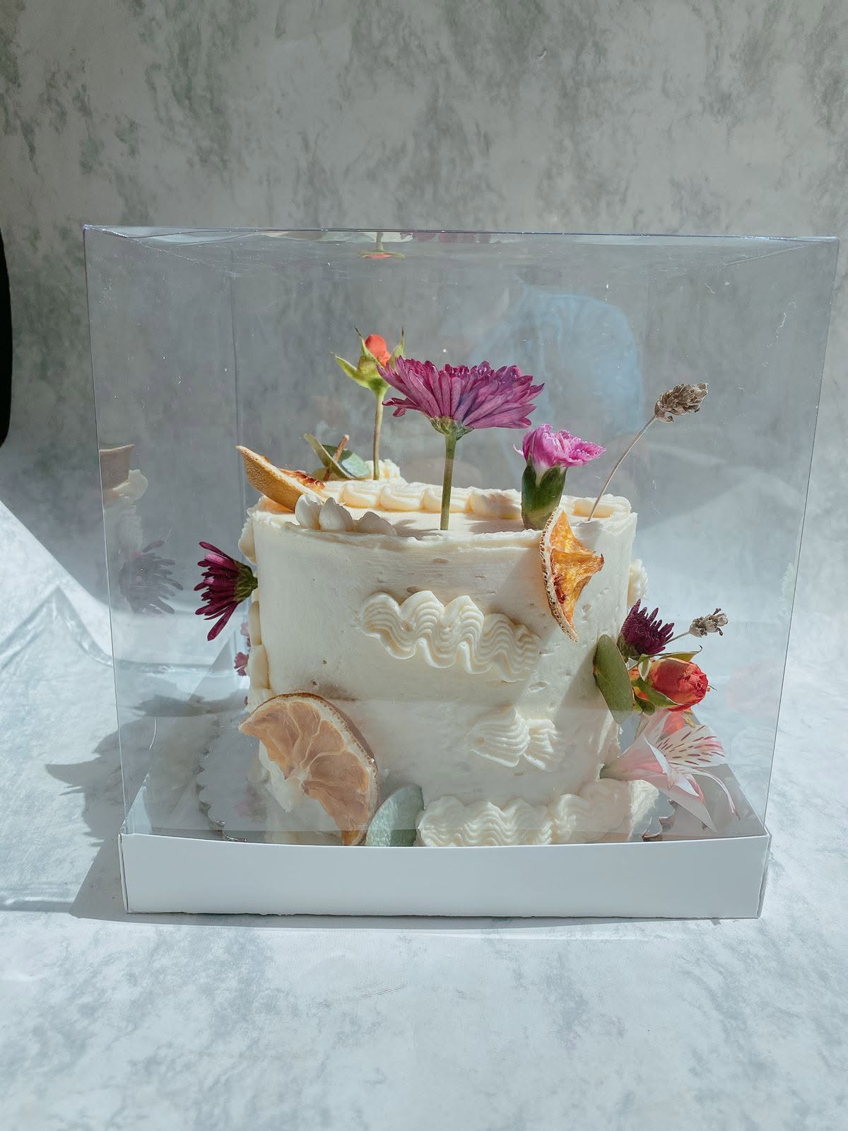 Estuche plástico transparente para pastelería